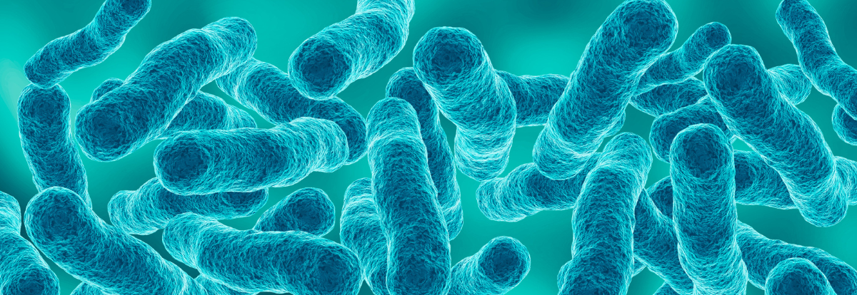 Microscopic view of legionella